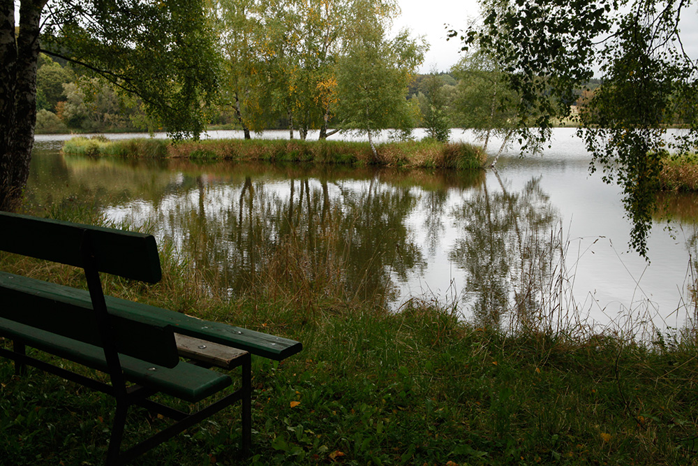 Stieger Teich nahe dem Ferienhaus in Hasselfelde